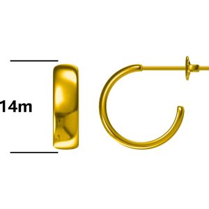 Srebrne naušnice s pozlatom-SE52129