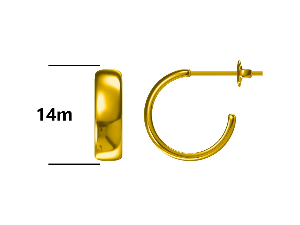 Srebrne naušnice s pozlatom-SE52129