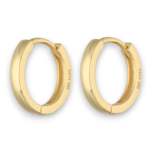 Srebrne naušnice s pozlatom-SE43812