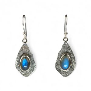 Srebrne naušnice labradorit-SE17018-labradorit